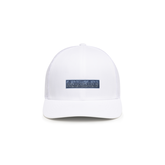 Air Plant Snapback